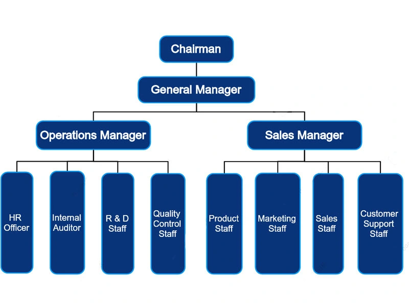 Company Structure