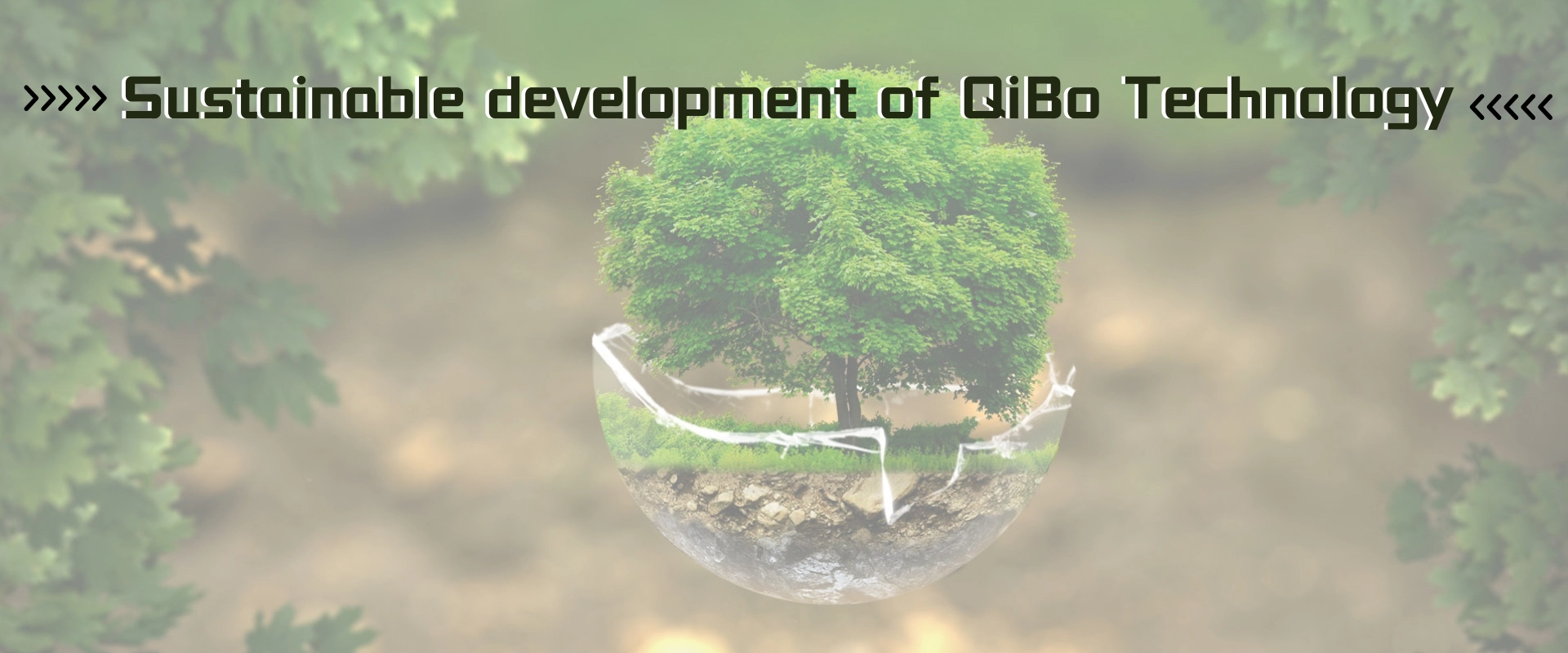 Sustainbility