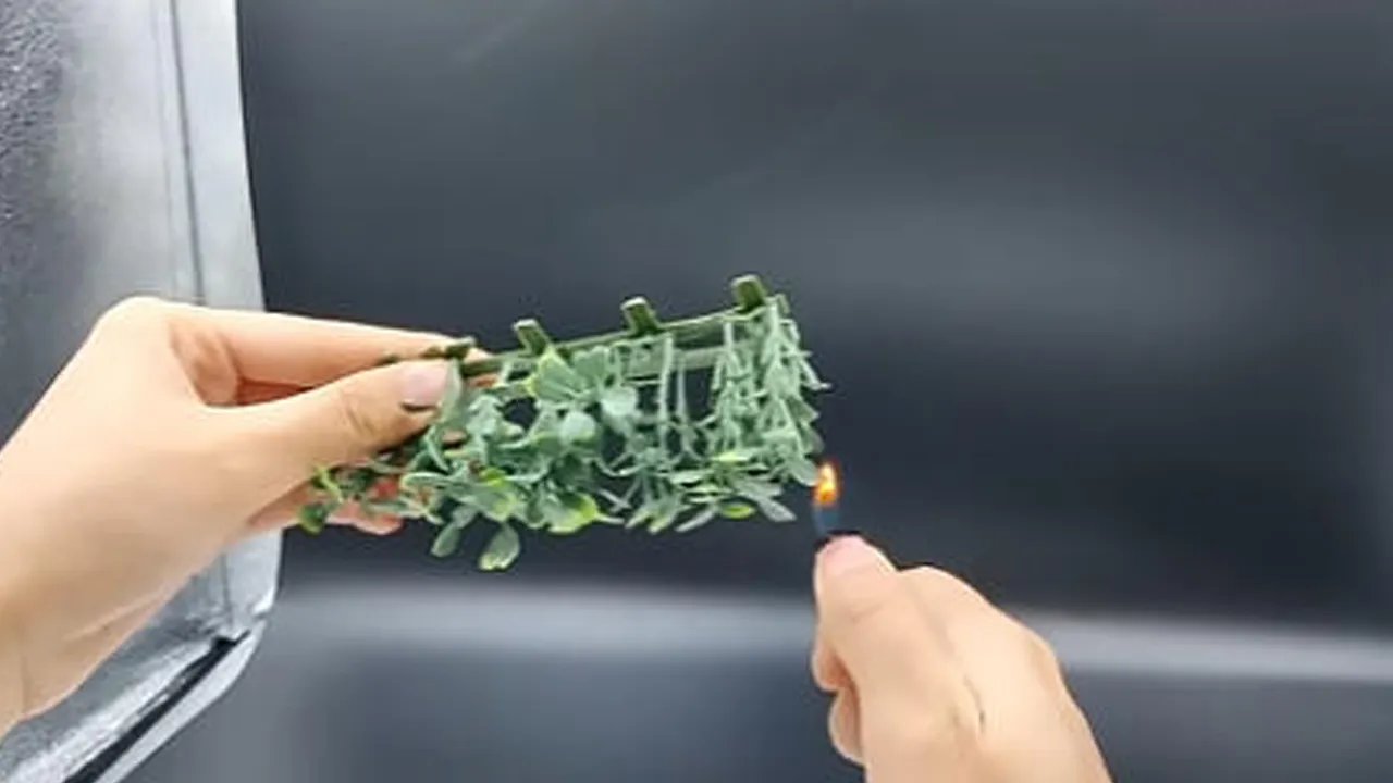 PE Polyethylene artificial flowers Christmas tree artificial lawn flame retardant masterbatch